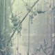 Illustration for article titled H.G. Wells Remarkable Scientific Article About Evolution On Mars